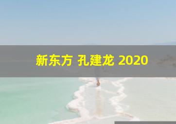 新东方 孔建龙 2020